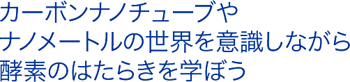 カーボンナノチューブやナノメートルの世界を意識しながら酵素のはたらきを学ぼう