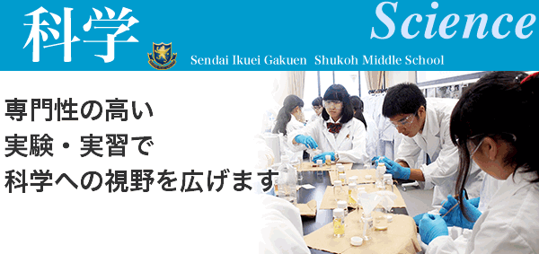 science 科学